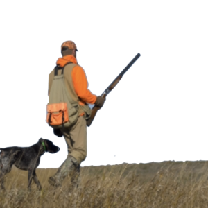 Chasse